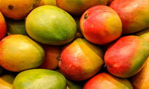 Assorted mango varieties